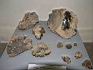 SH104541.JPG
